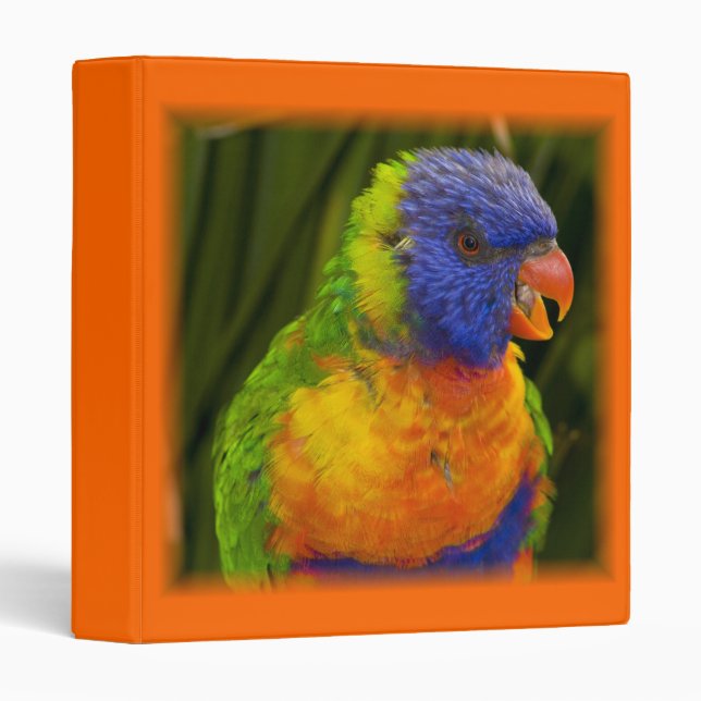 Colourful parakeet binder (Front/Spine)