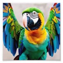 Colourful parrot bird