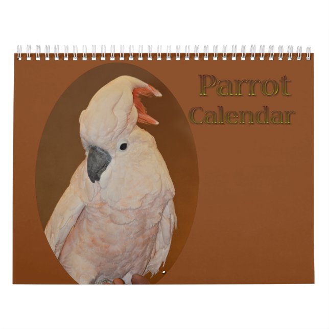 Colourful Parrot Calendar (Cover)
