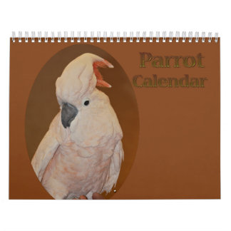 Colourful Parrot Calendar