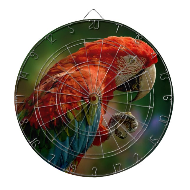 Colourful Parrot Dartboard (Front)