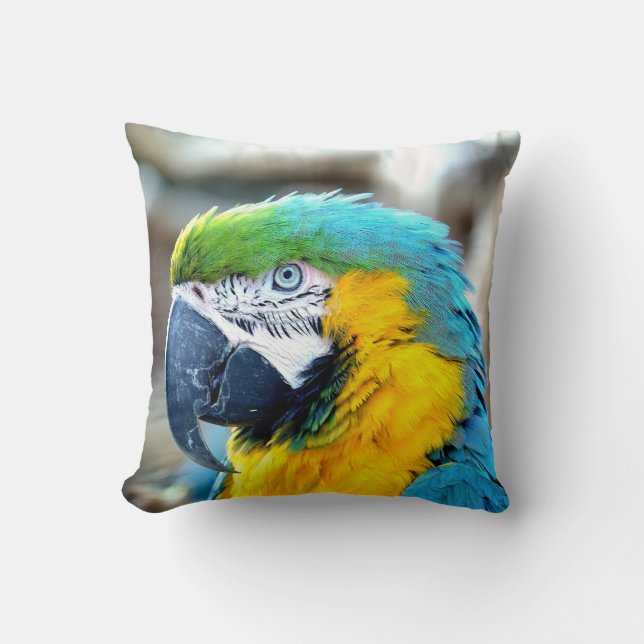 Colourful Parrot - Pillow (Front)