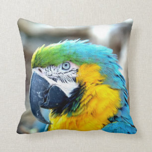 Colourful Parrot - Pillow