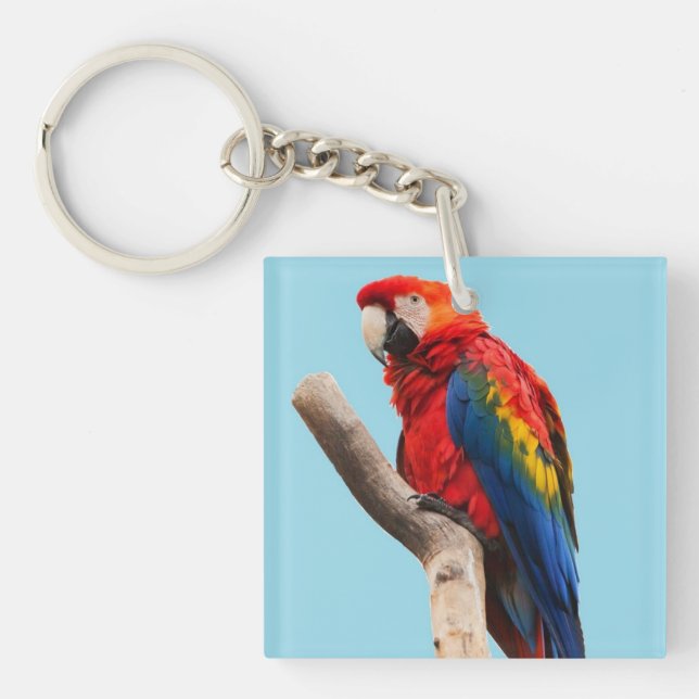 Colourful Parrot Portrait Photo Keychain (Front)