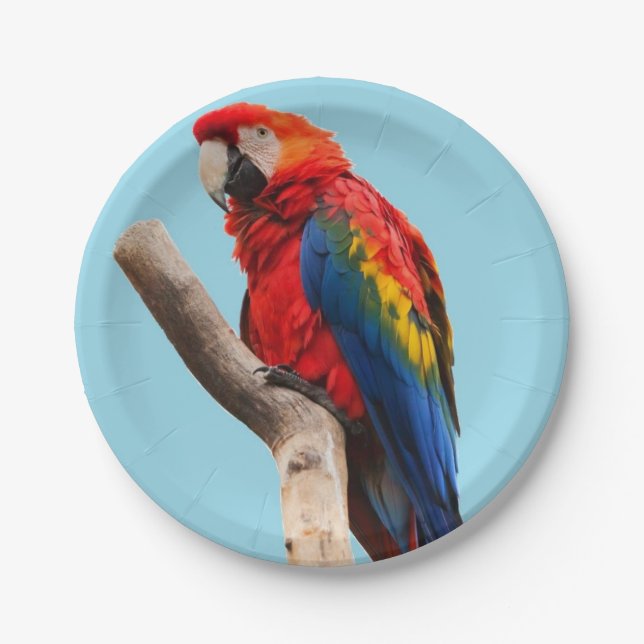 Colourful Parrot Portrait Photo Paper Plate (Front)