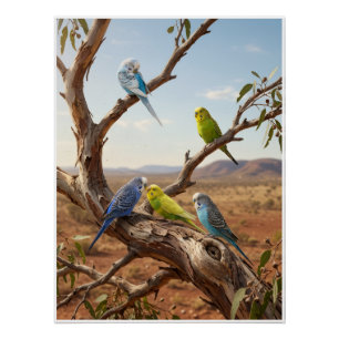 Colourful Parrots On Tree Branch Tropical Birds Fl Poster