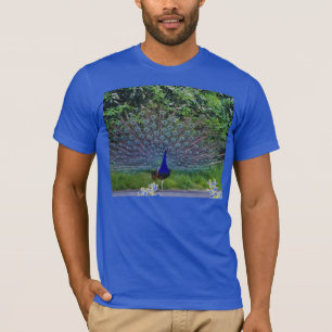 Colourful Pattern Bird Peacock Art Indian Destiny T-Shirt