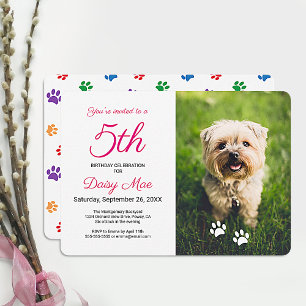 Colourful Paw Prints Pink Pet Birthday Photo Invitation