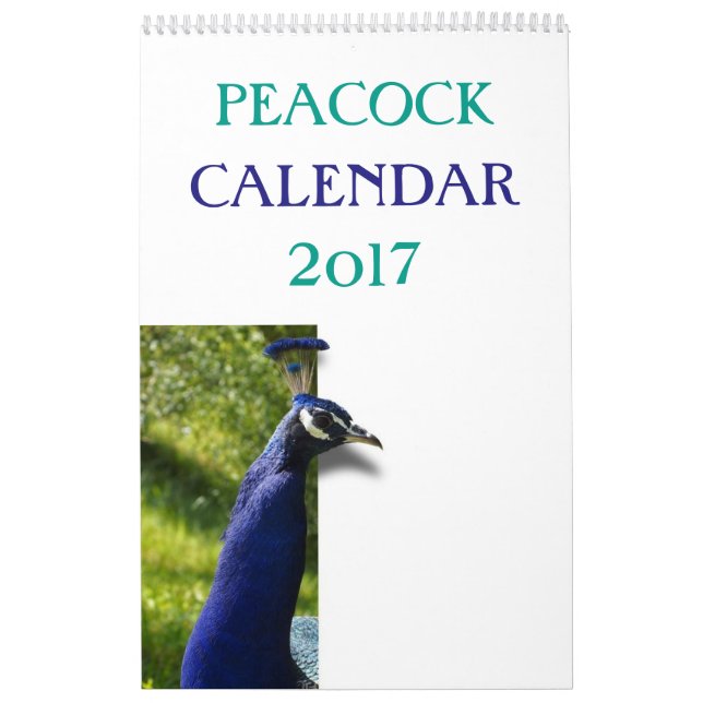 Colourful Peacock 2017 Calendar (Cover)