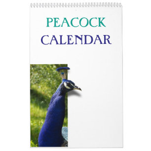 Colourful Peacock 2025 Calendar