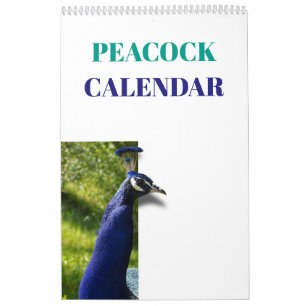 Colourful Peacock 2027 Calendar