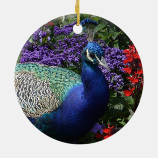 Colourful Peacock between purple flowers Ceramic Ornament (Back)
