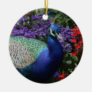 Colourful Peacock between purple flowers Ceramic Ornament