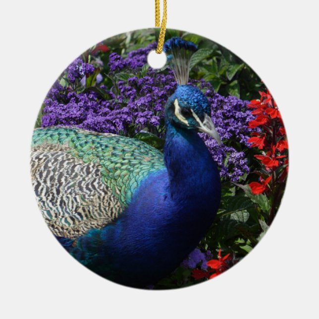 Colourful Peacock between purple flowers Ceramic Ornament (Front)