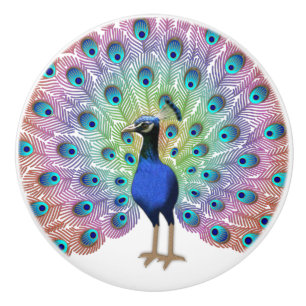 Colourful Peacock Ceramic Knob