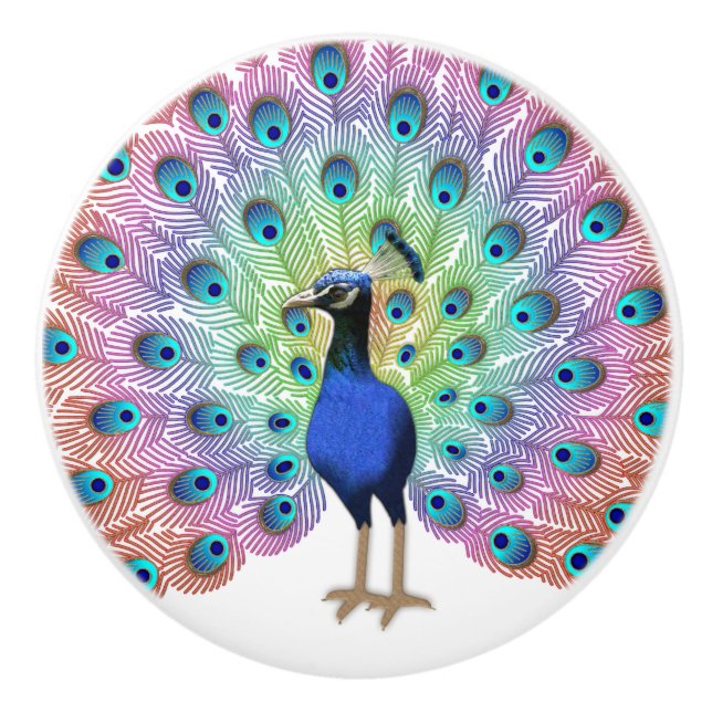 Colourful Peacock Ceramic Knob (Front)