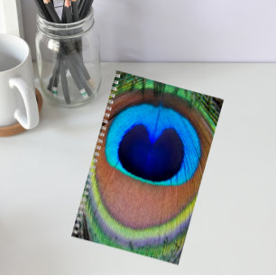 Colourful Peacock Feather Eyespot Notebook