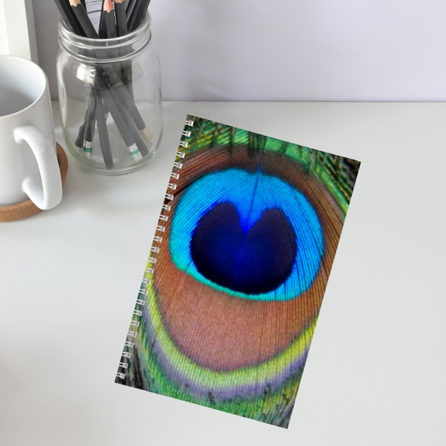 Colourful Peacock Feather Eyespot Notebook (In Situ)