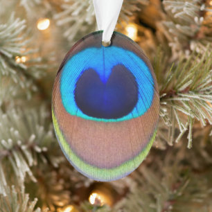 Colourful Peacock Feather Eyespot Ornament