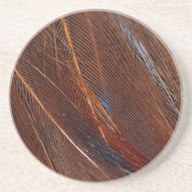 Colourful Peacock Feather in Detail Coaster (Front)