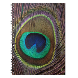 Colourful Peacock Feather Personalized Notebook