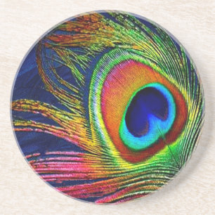 Colourful Peacock Feather Print Coaster