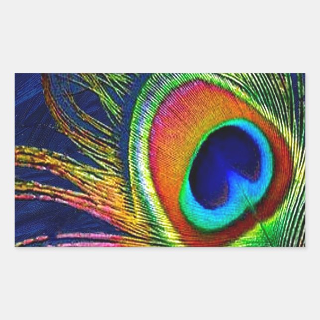 Colourful Peacock Feather Print Sticker (Front)
