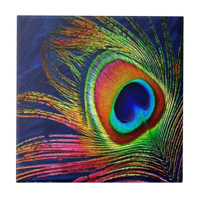 Colourful Peacock Feather Print Tile (Front)