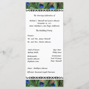 Colourful Peacock Feather Wedding Program