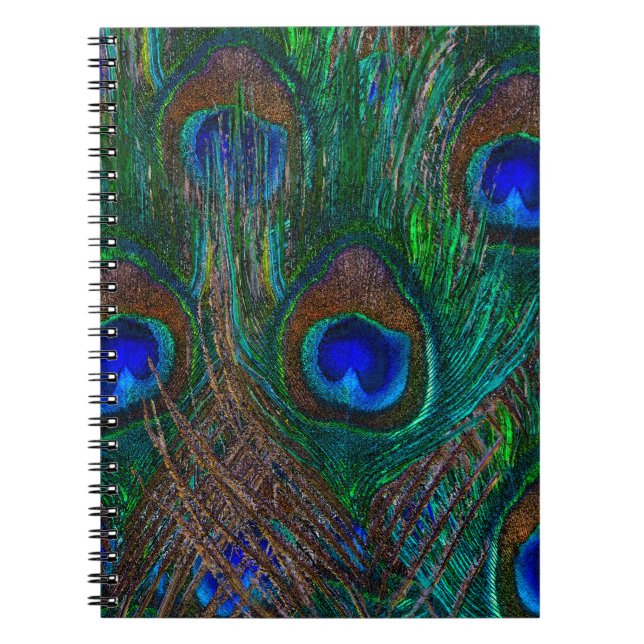 Colourful Peacock Feathers Etching Style Notebook (Front)