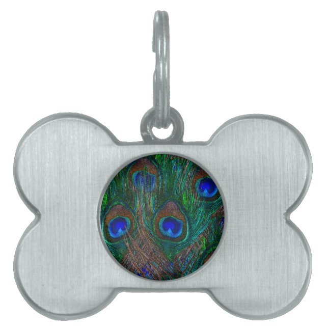 Colourful Peacock Feathers Etching Style Pet Name Tag (Front)