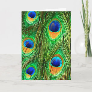 Colourful Peacock Feathers Print Card