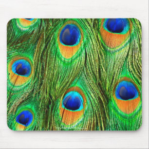 Colourful Peacock Feathers Print Mouse Pad