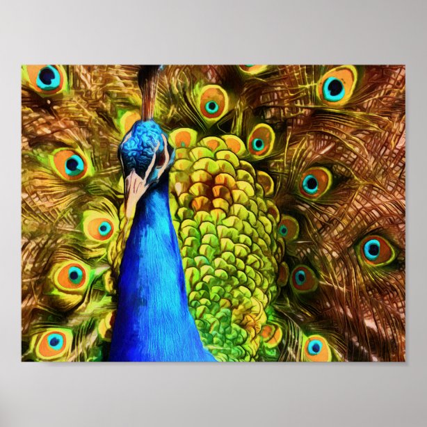 Peacock Birds Posters, Prints & Poster Printing | Zazzle CA