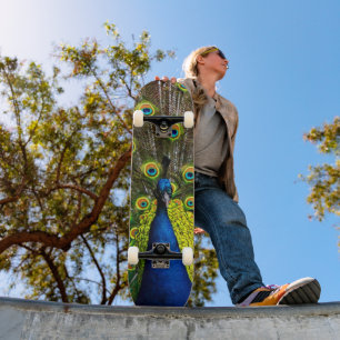 Colourful peacock skateboard