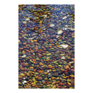 Colourful Pebbles on Hood Canal Photo Print