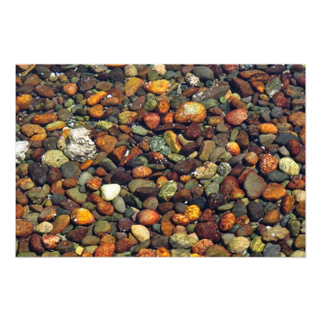 Colourful Pebbles on Hood Canal Photo Print (Front)