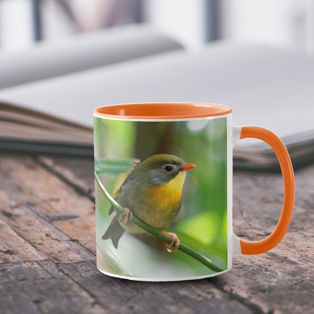 Colourful Pekin Robin Songbird on Branch Mug (Colorful Pekin Robin 11 oz Coffee Mug Cover Photo.)