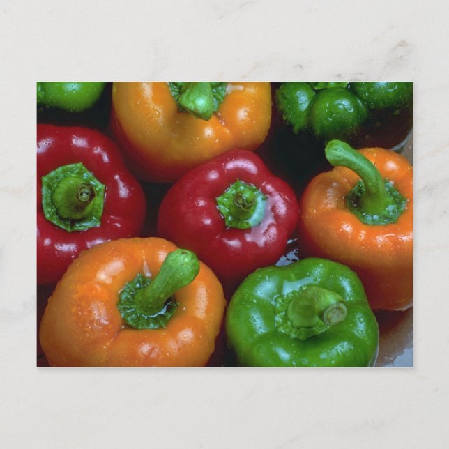 Colourful peppers, close-up postcard (Front)