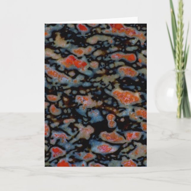 Colourful Petrified Dinosaur Bone Card (Front)