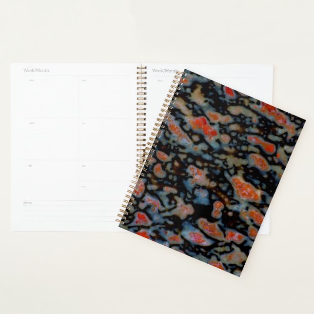 Colourful Petrified Dinosaur Bone Planner (Display)