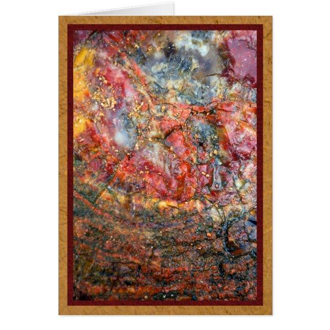 Colourful petrified wood (Front)