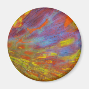 Colourful Petrified Wood close-up Magnet