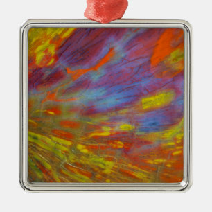 Colourful Petrified Wood close-up Metal Ornament