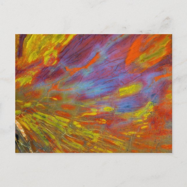 Colourful Petrified Wood close-up Postcard (Front)