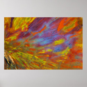 Colourful Petrified Wood close-up Poster