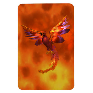 Colourful Phoenix Flying Against a Fiery Backgroun Magnet