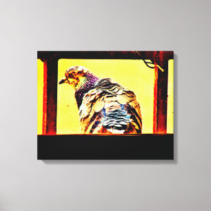 Colourful Pigeon Canvas Print
