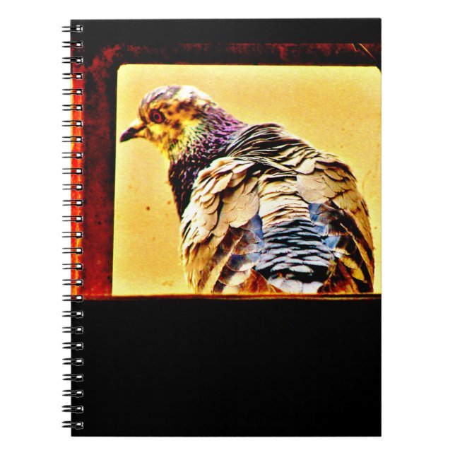Colourful Pigeon Notebook (Front)