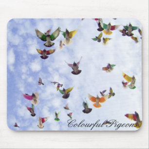 Colourful Pigeons Mouse Pad